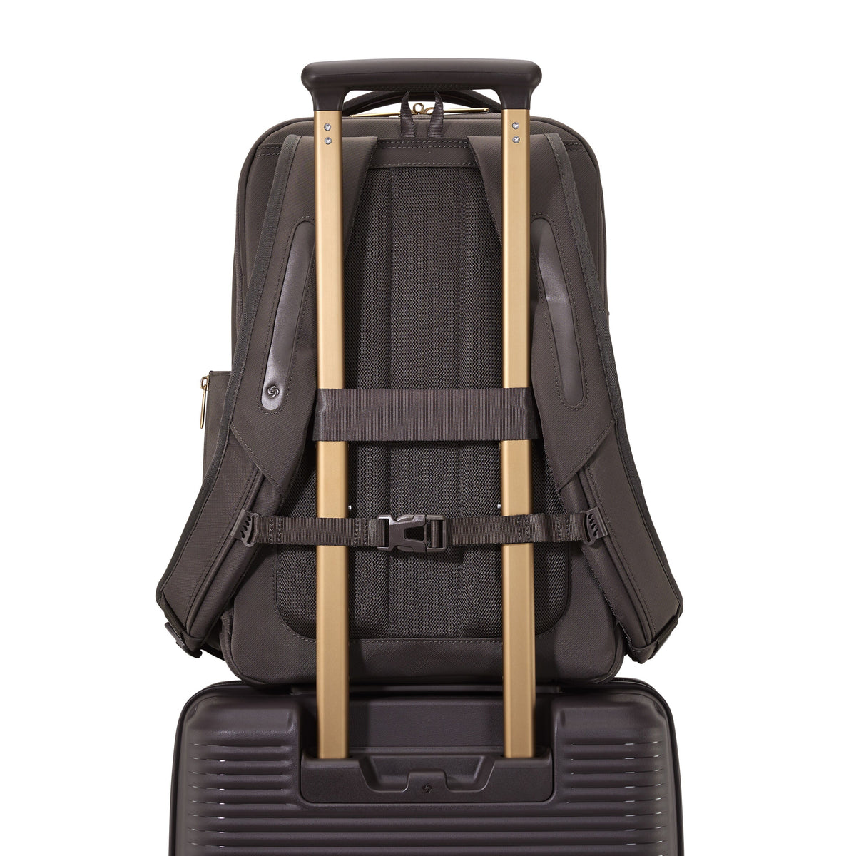 Samsonite Paralux 2-in-1 Travel Backpack in the color Coffee Bean.